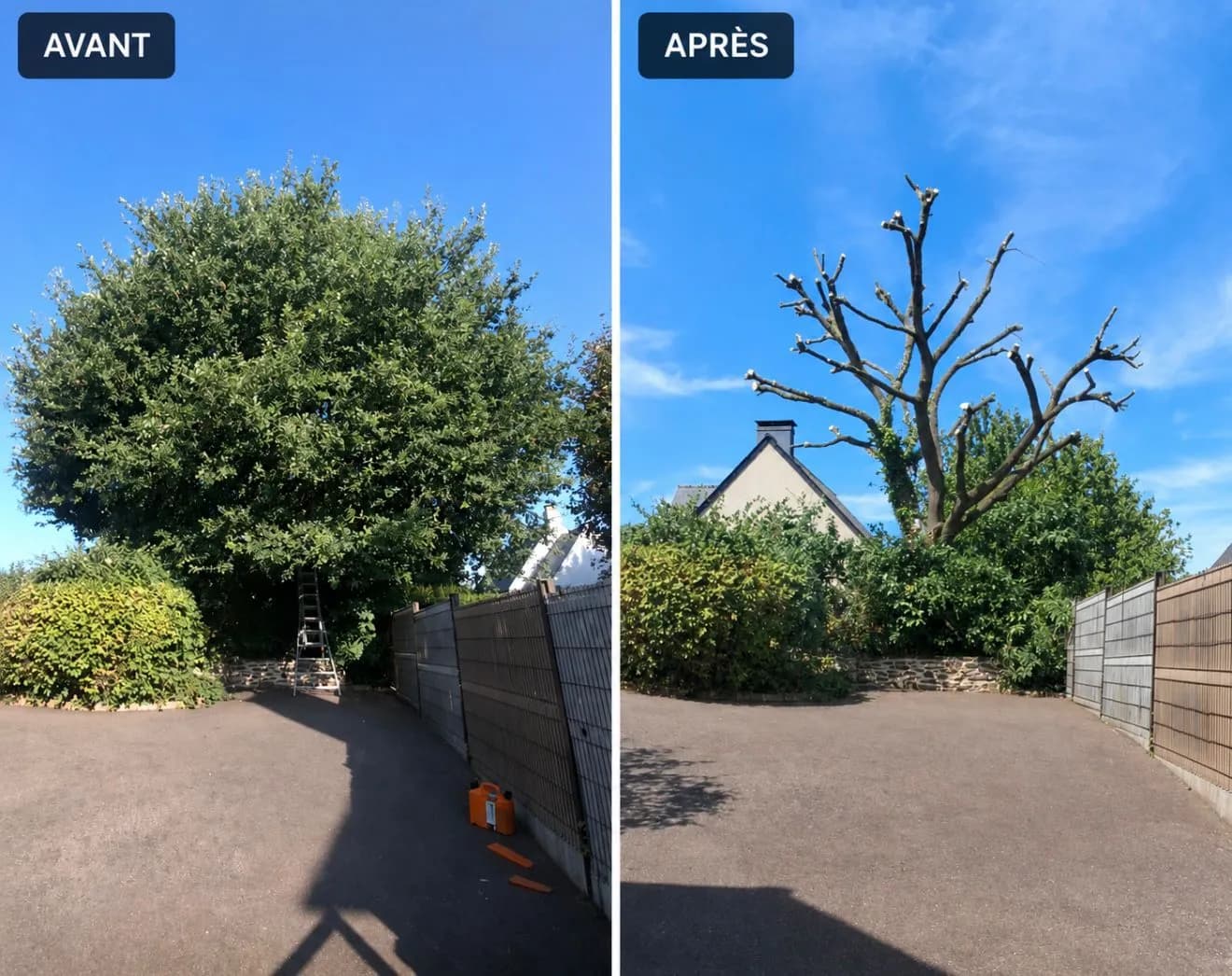 Chêne dans une cour avant et après élagage à Carhaix, Hochard Élagage