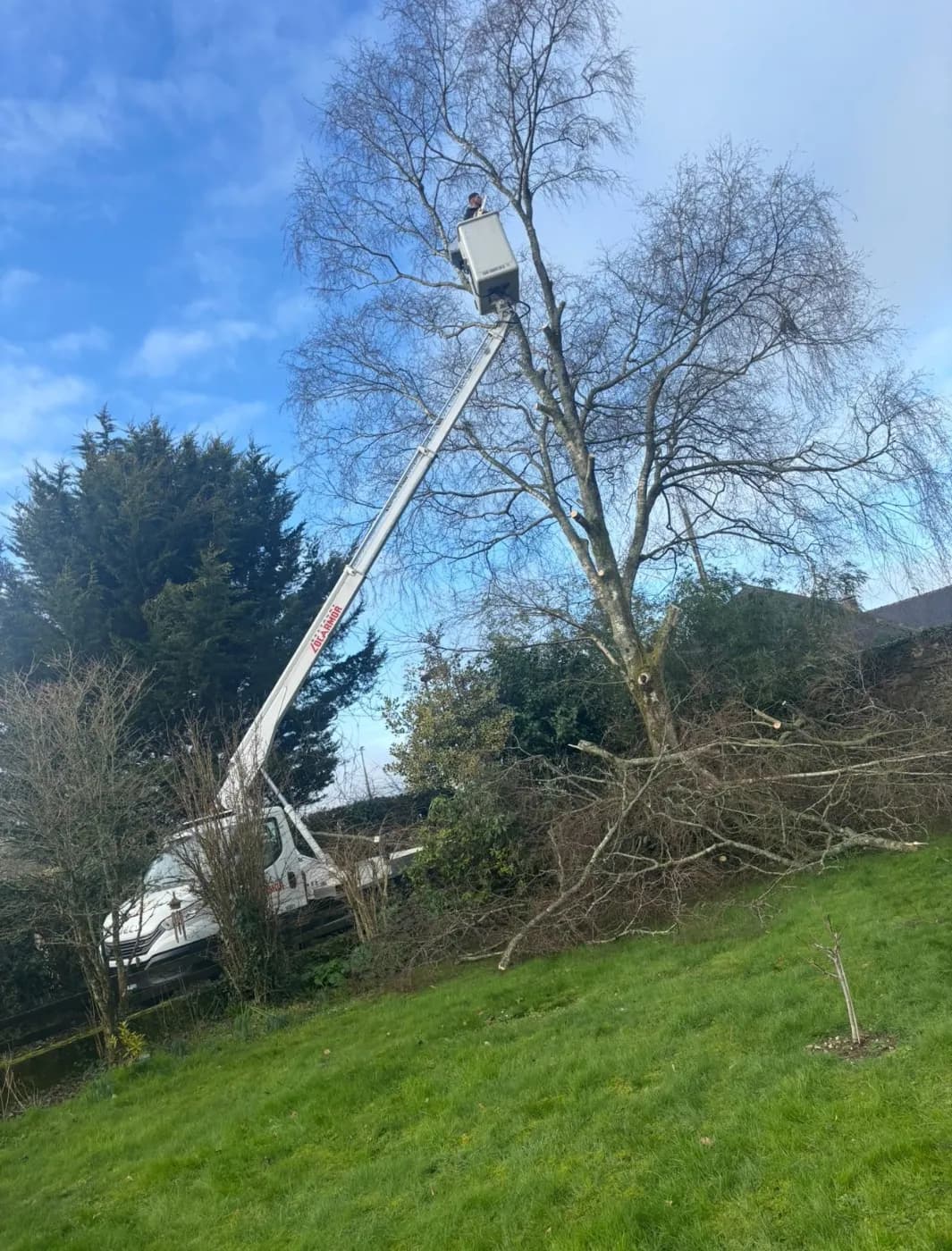 Démontage d'un grand arbre par nacelle à quinze mètres de hauteur près de Carhaix, Hochard Élagage